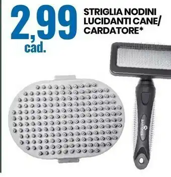 Eurospin Accessori animali offerta