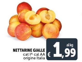 Gourmet Déco Nettarine gialle offerta