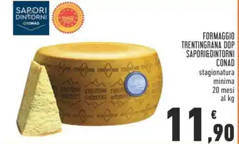 Conad FORMAGGIO TRENTINGRANA DOP SAPORI&DINTORNI CONAD 20 mesi offerta