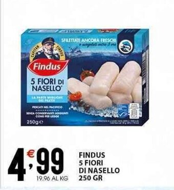 Sisa FINDUS 5 FIORI DI NASELLO 250 GR offerta