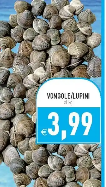VONGOLE/LUPINI al kg
