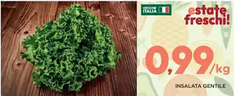 Poli INSALATA GENTILE offerta