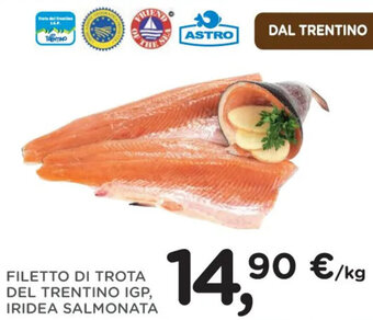 FILETTO DI TROTA DEL TRENTINO IGP, IRIDEA SALMONATA