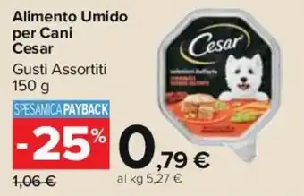 Carrefour Alimento Umido per Cani Cesar Gusti Assortiti 150 g offerta