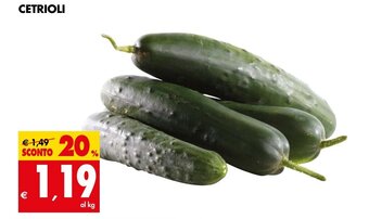 Tigros CETRIOLI offerta