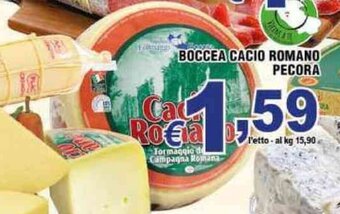 Sacoph BOCCEA CACIO ROMANO PECORA offerta