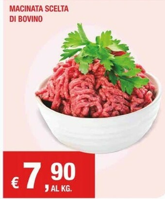 Macinata Scelta Di Bovino