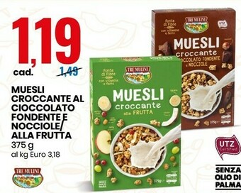 Eurospin Tre Mulini Muesli Croccante Al Cioccolato Fondente E Nocciole/ Alla Frutta 375g offerta