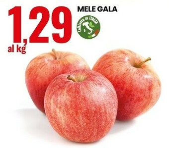 Eurospin Mele Gala offerta