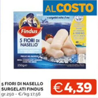 Mercatò 5 FIORI DI NASELLO SURGELATI FINDUS gr. 250 offerta