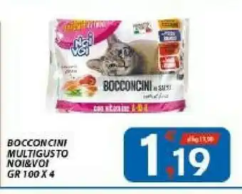 Vivo Supermercati Noi & Voi Bocconcini Multigusto offerta