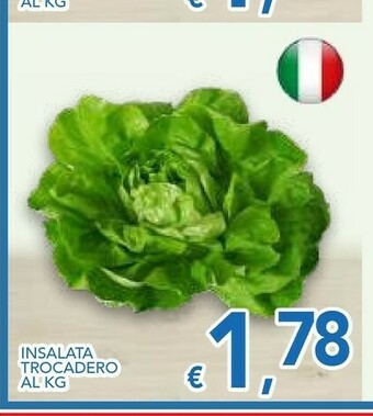 Vivo Supermercati Insalata Trocadero offerta