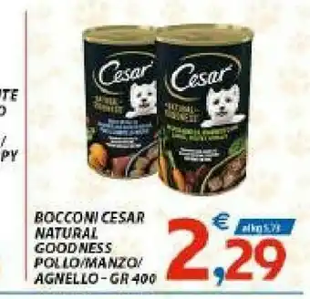 Vivo Supermercati Cesar Bocconi Natural Goodness Pollo / Manzo / Agnello offerta