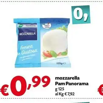 Borello Supermercati Pam Panorama Mozzarella offerta