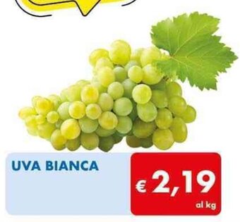 MD Discount UVA BIANCA offerta