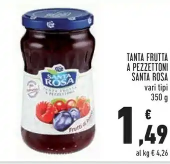 Conad Santa rosa Tanta Frutta A Pezzettoni offerta