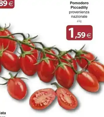 Docks Cash&Carry Pomodoro Piccadilly offerta