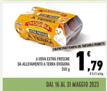 Conad 6 UOVA EXTRA FRESCHE DA ALLEVAMENTO A TERRA OVOGIOIA 350 g offerta
