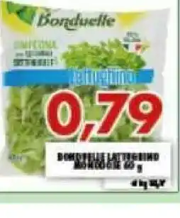 Gros Bonduelle Lattughino 80 G(ml) offerta