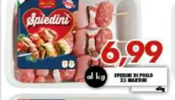 Gros Martini Spiedini Di Pollo offerta
