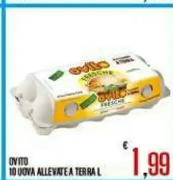 Gros Ovito 10 Uova Allevate A Terra offerta