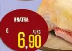 Anatra