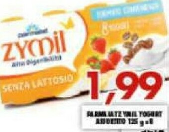 Gros Parmalat Zymil Yogurt offerta