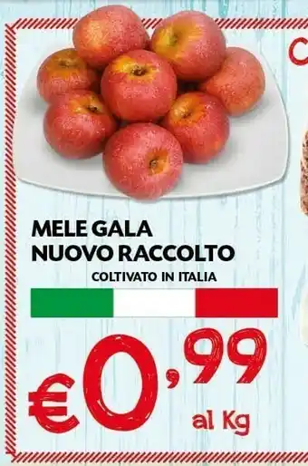 Pam Mele Gala Nuovo Raccolto offerta