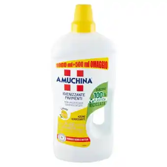 Iperal Igienizzante pavimenti amuchina offerta