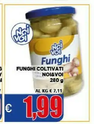 Vivo Supermercati Noi&voi Funghi Coltivati offerta