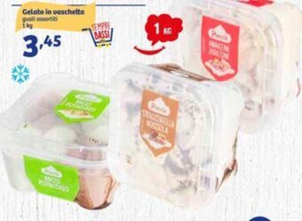 In'S Mercato Gelato in vaschetta gusti assortiti 1 KG offerta