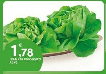 Vivo Supermercati Insalata Trocadero offerta