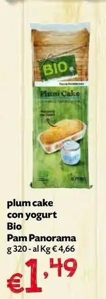 Borello Supermercati Pam Plumcake Con Yogurt offerta