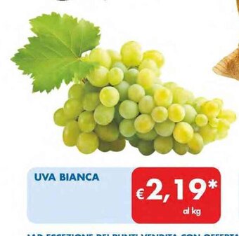 MD Discount UVA BIANCA offerta