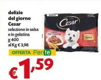 Pam Cesar Delizie Del Giorno offerta