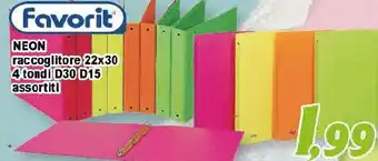 Supermercati Emark Favorit Neon Raccoglitore offerta