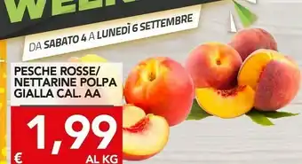 TuoDi Pesche offerta