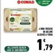 Todis I tesori del forno frollini con farina integrale e cioccolato offerta