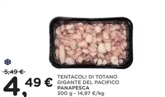 Panapesca tentacoli di totano gigante del pacifico