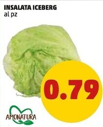 PENNY Amonatura insalata iceberg offerta
