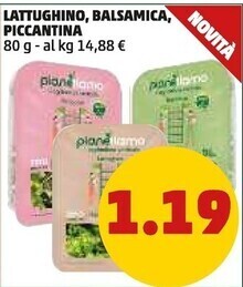 PENNY Insalata iceberg offerta