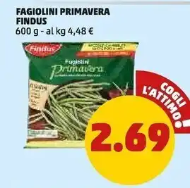 PENNY Findus fagiolini primavera offerta
