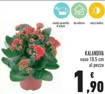 Conad Kalandiva Vaso offerta