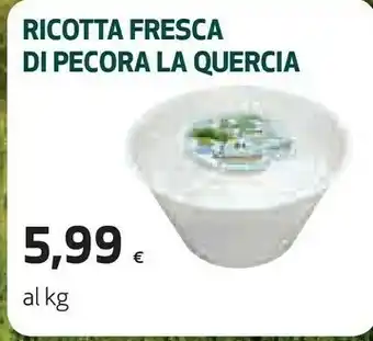 Coop La quercia Ricotta offerta