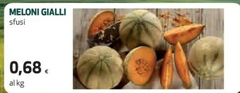 Coop Melone offerta