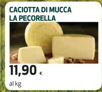Coop Caciotta offerta