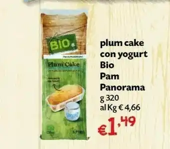Pam Pam Panorama Plum Cake Con Yogurt 320g offerta