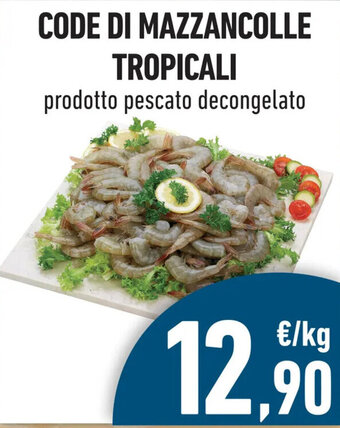 CODE DI MAZZANCOLLE TROPICALI