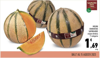 Conad MELONI CHARANTAIS SAPORI&IDEE offerta