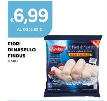 Ekom FIORI DI NASELLO FINDUS G 500 offerta